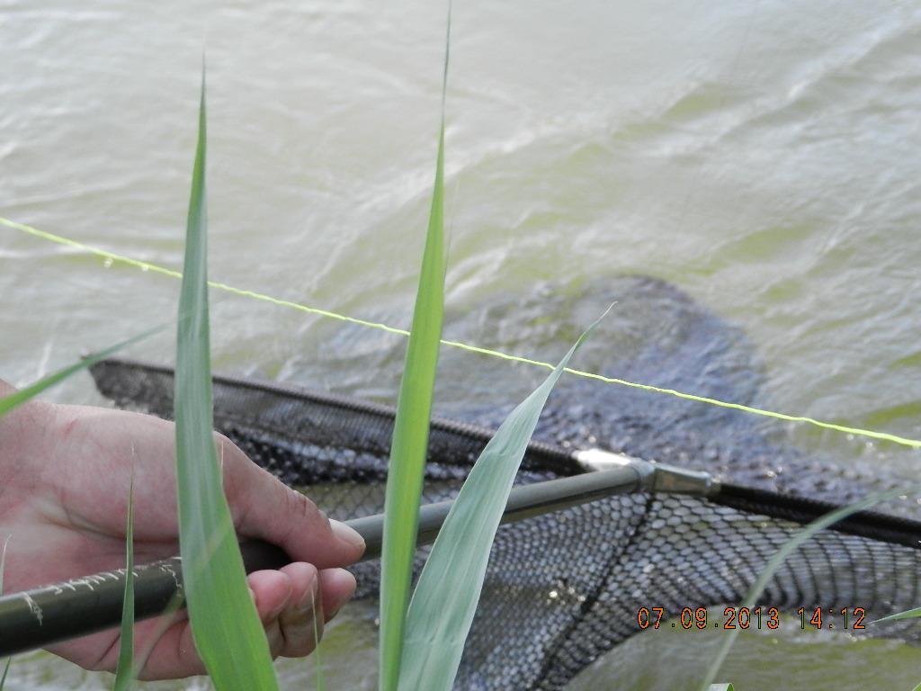 7-8  septembrie20013 - dscn1707.JPG